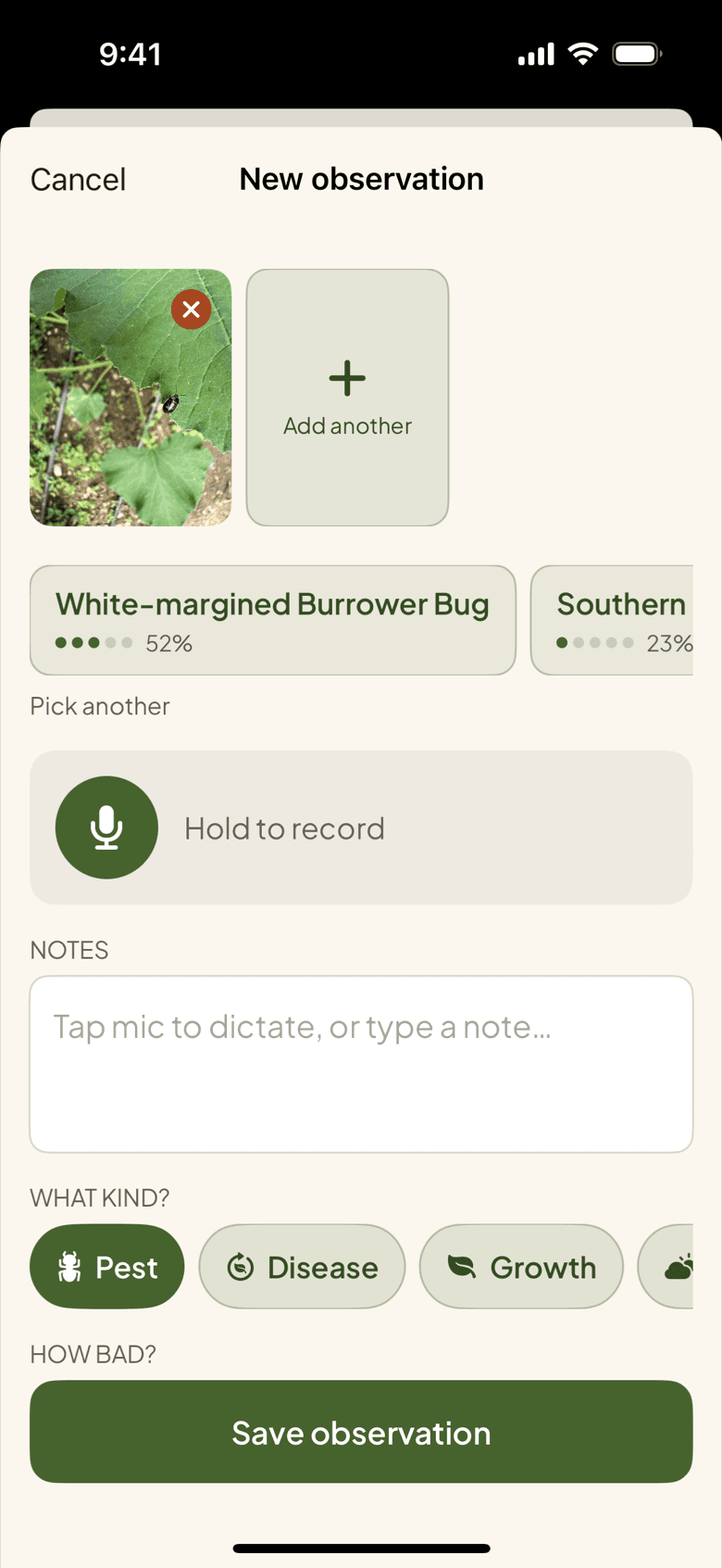 Identify in the iPhone app on a photo of a black bug on a squash leaf: White-margined Burrower Bug at 52 percent, a second match at 23 percent, and Pick another.