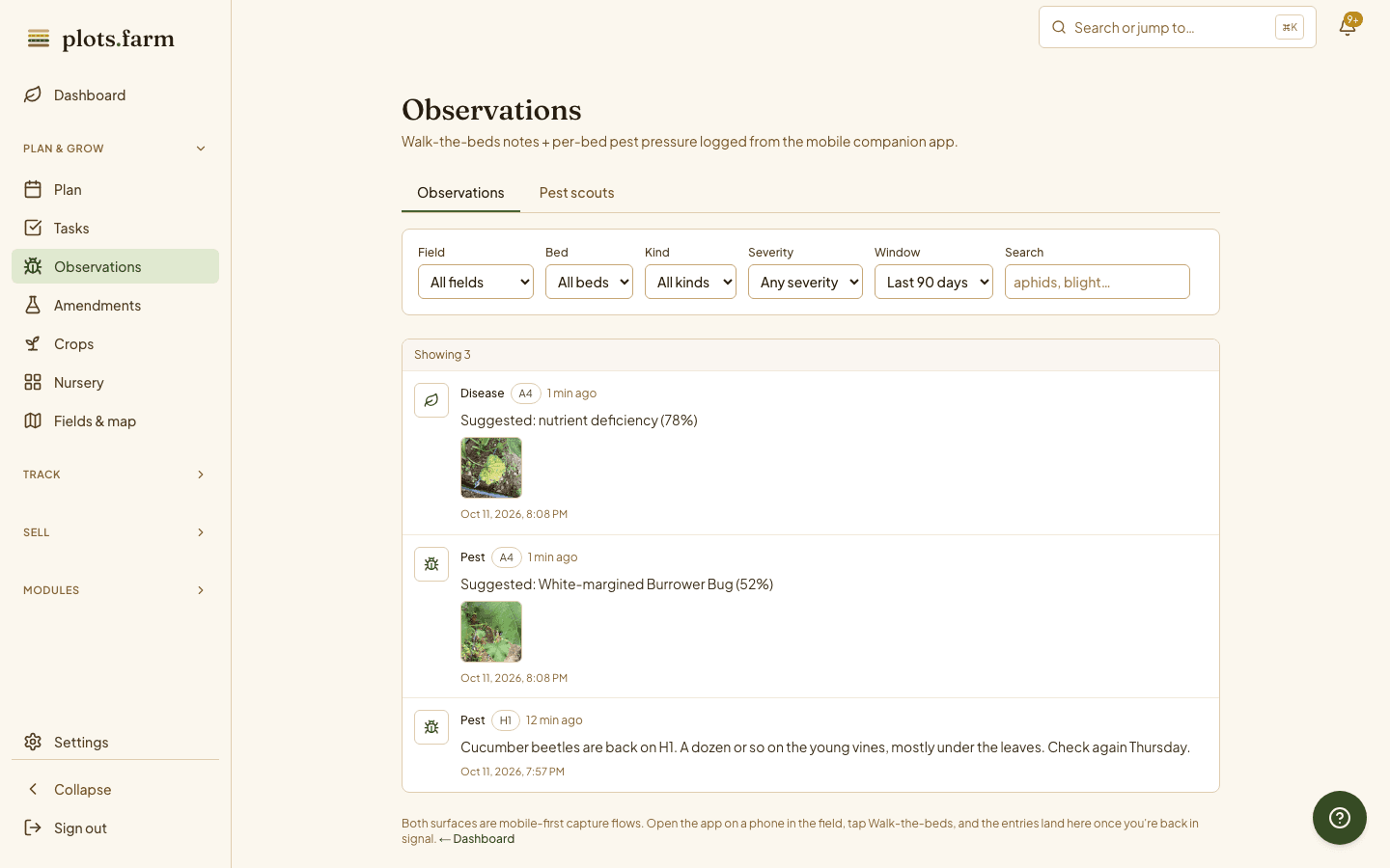 The Observations page: a yellowing squash leaf and a bug photo on bed A4, each with its suggested name, and a note about cucumber beetles on H1.